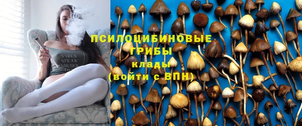 таблы Бородино